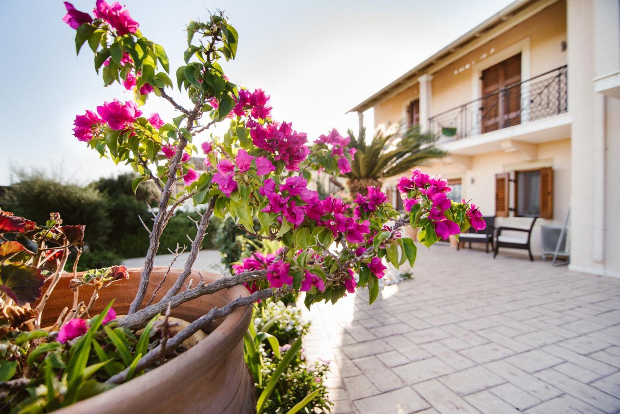 Dimoulias House Apartment Kato Korakiana Exterior photo